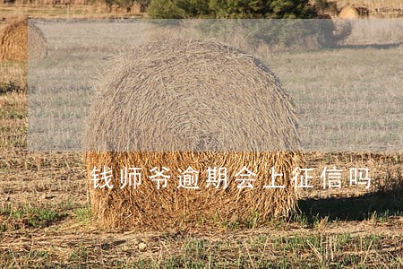 钱师爷逾期会上征信吗