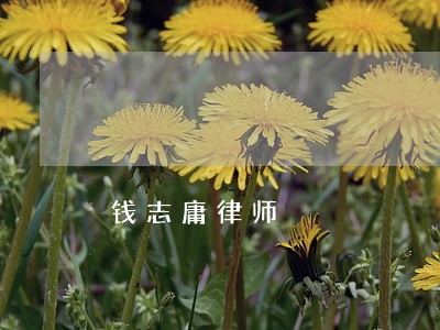 钱志庸律师 钱志庸律师