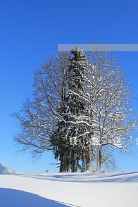 钱急送逾期几天打电话 钱急送逾期几天打电话