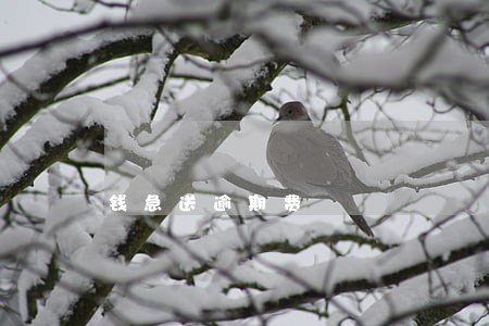 钱急送逾期费 钱急送逾期费