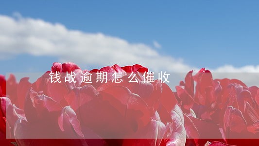 钱战逾期怎么催收 钱战逾期怎么催收