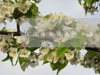 钱战逾期找我还全款 钱战逾期找我还全款