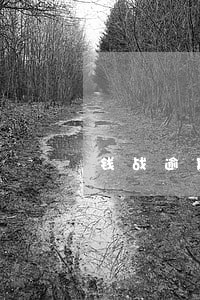 钱战逾期没事吧 钱战逾期没事吧