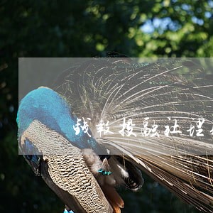 钱报投融社理财逾期 钱报投融社理财逾期