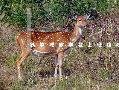 钱教授逾期会上征信吗 钱教授逾期会上征信吗