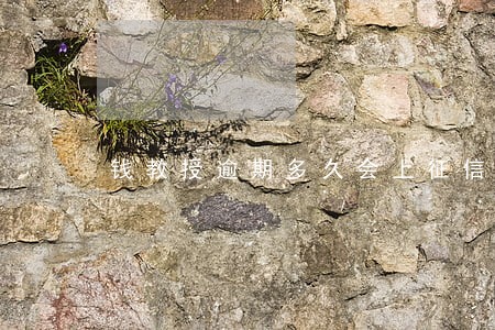 钱教授逾期多久会上征信 钱教授逾期多久会上征信