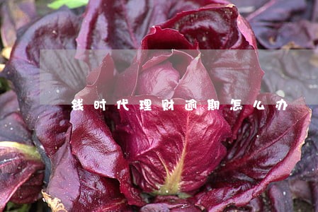 钱时代理财逾期怎么办 钱时代理财逾期怎么办