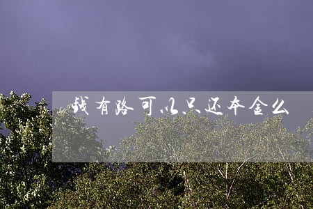 钱有路可以只还本金么 钱有路可以只还本金么