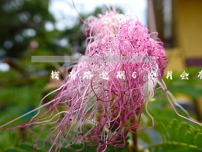 钱有路逾期6个月会有什么后果 钱有路逾期6个月会有什么后果