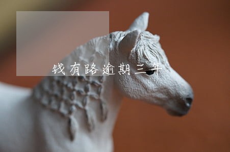 钱有路逾期三年 钱有路逾期三年