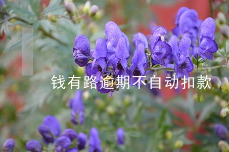钱有路逾期不自动扣款 钱有路逾期不自动扣款
