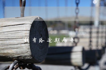 钱有路逾期两年