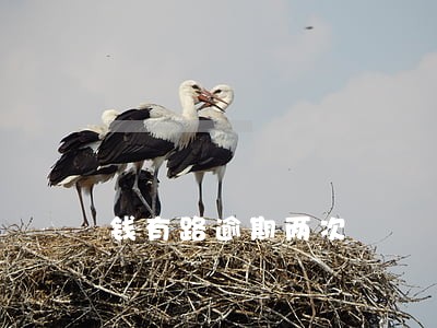 钱有路逾期两次 钱有路逾期两次