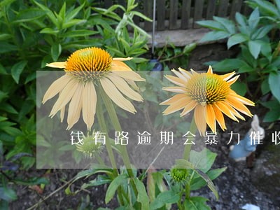 钱有路逾期会暴力催收吗 钱有路逾期会暴力催收吗