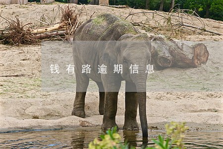 钱有路逾期信息
