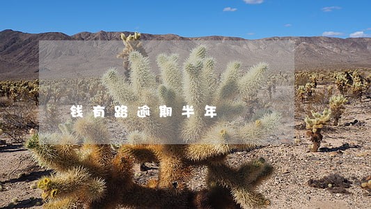 钱有路逾期半年 钱有路逾期半年