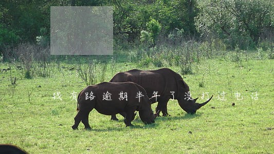 钱有路逾期半年了没打过电话 钱有路逾期半年了没打过电话