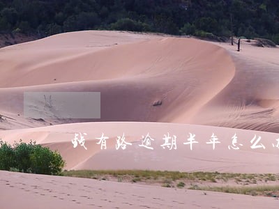 钱有路逾期半年怎么办 钱有路逾期半年怎么办