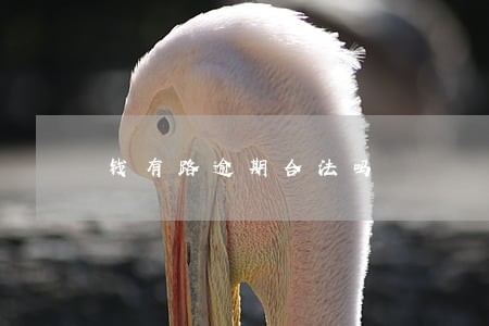 钱有路逾期合法吗 钱有路逾期合法吗