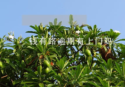 钱有路逾期有上门吗 钱有路逾期有上门吗