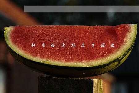 钱有路逾期没有催收 钱有路逾期没有催收