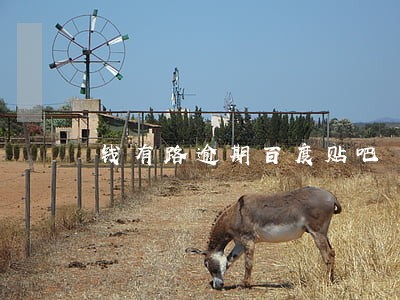 钱有路逾期百度贴吧 钱有路逾期百度贴吧