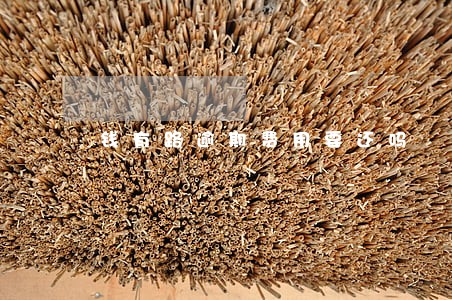 钱有路逾期费用要还吗 钱有路逾期费用要还吗