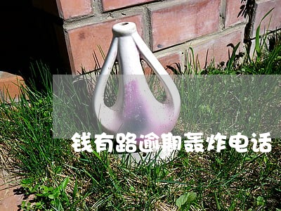 钱有路逾期轰炸电话