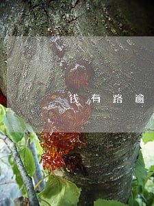 钱有路逾期还清再借 钱有路逾期还清再借