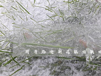 钱有路逾期还能借款吗