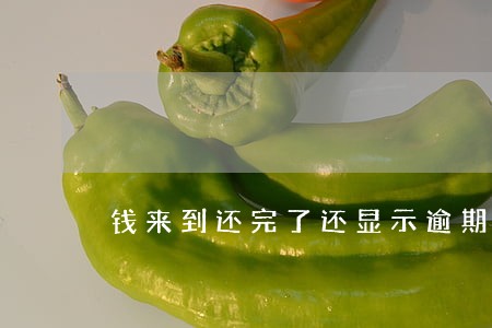 钱来到还完了还显示逾期怎么办 钱来到还完了还显示逾期怎么办