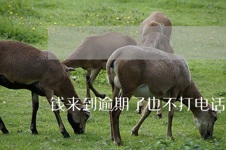 钱来到逾期了也不打电话 钱来到逾期了也不打电话
