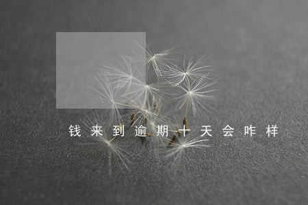 钱来到逾期十天会咋样 钱来到逾期十天会咋样