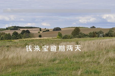 钱来宝逾期两天