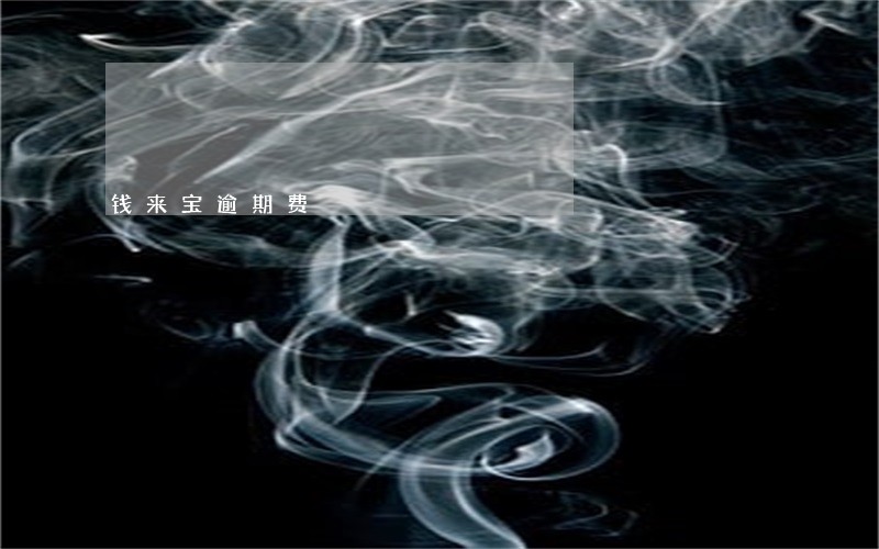 钱来宝逾期费