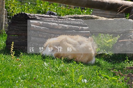 钱梦婕律师 钱梦婕律师