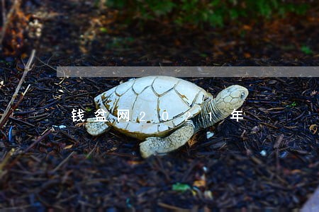 钱盆网2021年 钱盆网2021年
