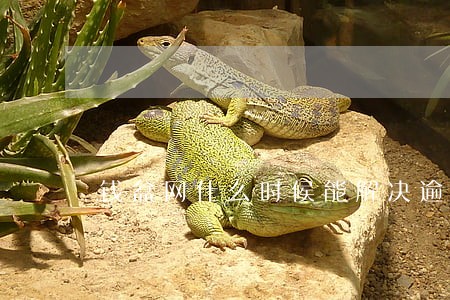 钱盆网什么时候能解决逾期问题 钱盆网什么时候能解决逾期问题