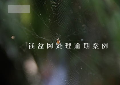 钱盆网处理逾期案例 钱盆网处理逾期案例