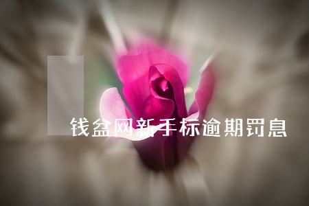 钱盆网新手标逾期罚息 钱盆网新手标逾期罚息