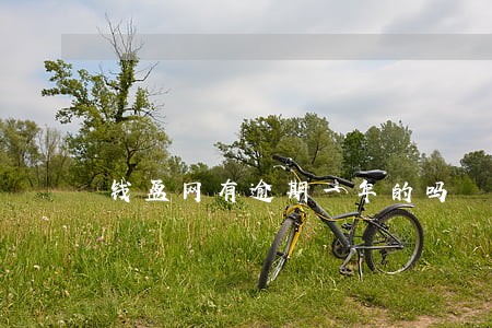 钱盆网有逾期一年的吗 钱盆网有逾期一年的吗