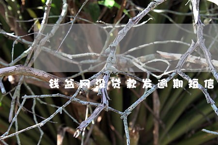 钱盆网没贷款发逾期短信 钱盆网没贷款发逾期短信