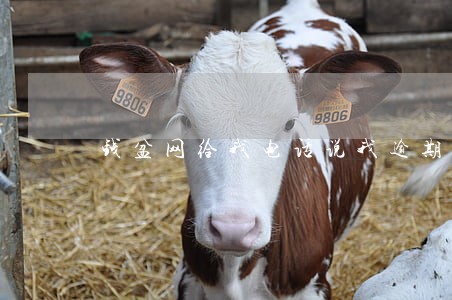 钱盆网给我电话说我逾期 钱盆网给我电话说我逾期