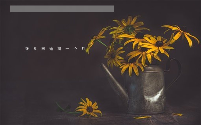 钱盆网逾期一个月 钱盆网逾期一个月