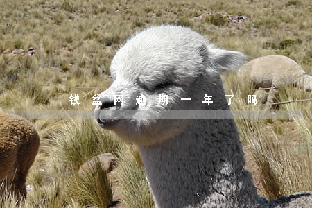 钱盆网逾期一年了吗 钱盆网逾期一年了吗