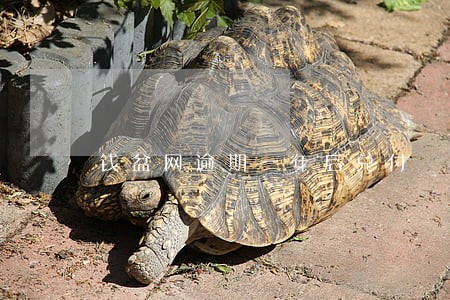 钱盆网逾期一年后兑付 钱盆网逾期一年后兑付