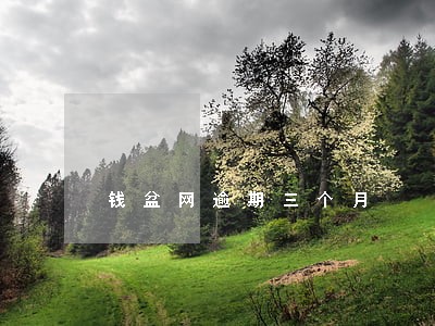 钱盆网逾期三个月 钱盆网逾期三个月