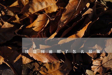 钱盆网逾期了怎么报案 钱盆网逾期了怎么报案