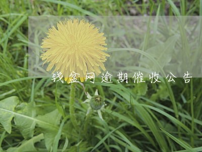 钱盆网逾期催收公告 钱盆网逾期催收公告