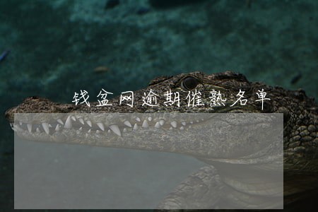 钱盆网逾期催熟名单 钱盆网逾期催熟名单